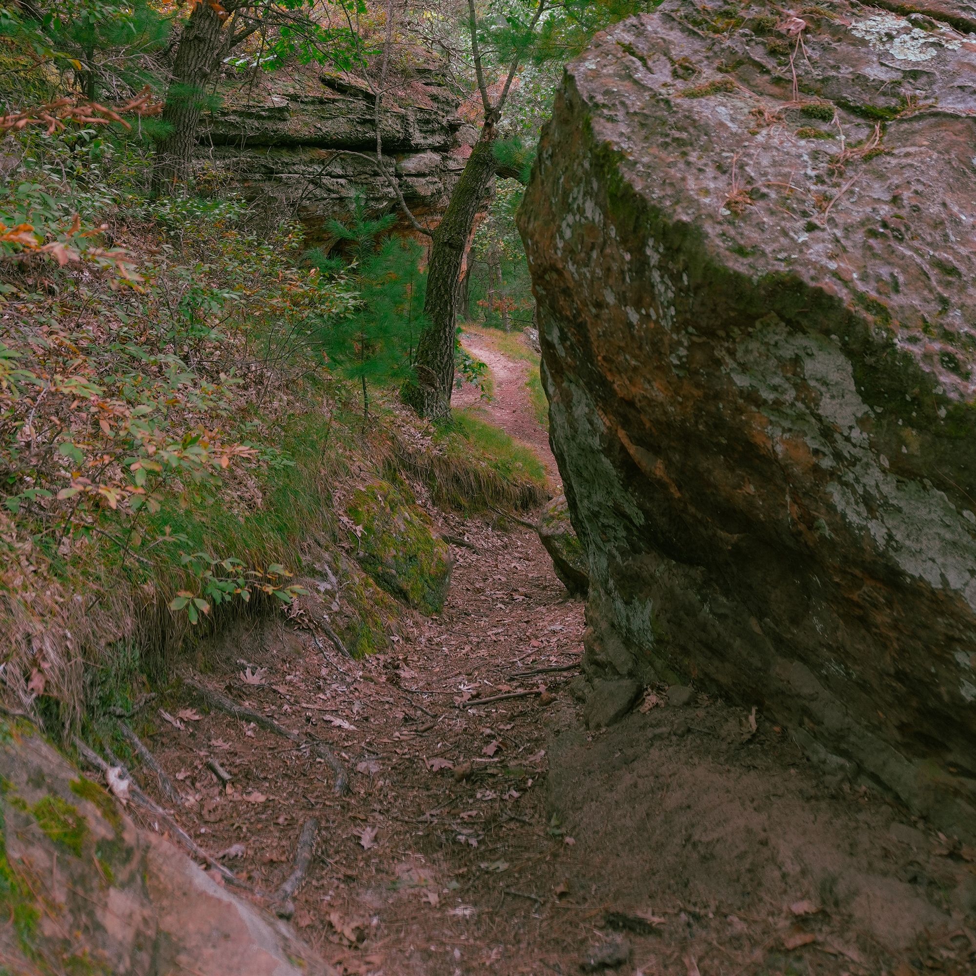 Sandstone along the path at Levis Mound